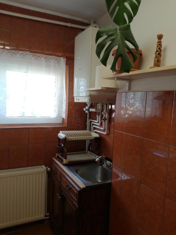 Târgu-Mureş Sara Apartman מראה חיצוני תמונה